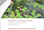 Screenshot der Webseite Abwassertest